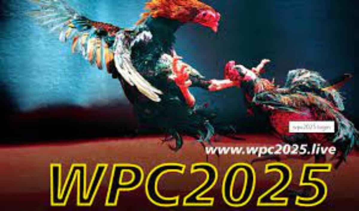 wpc2025 live