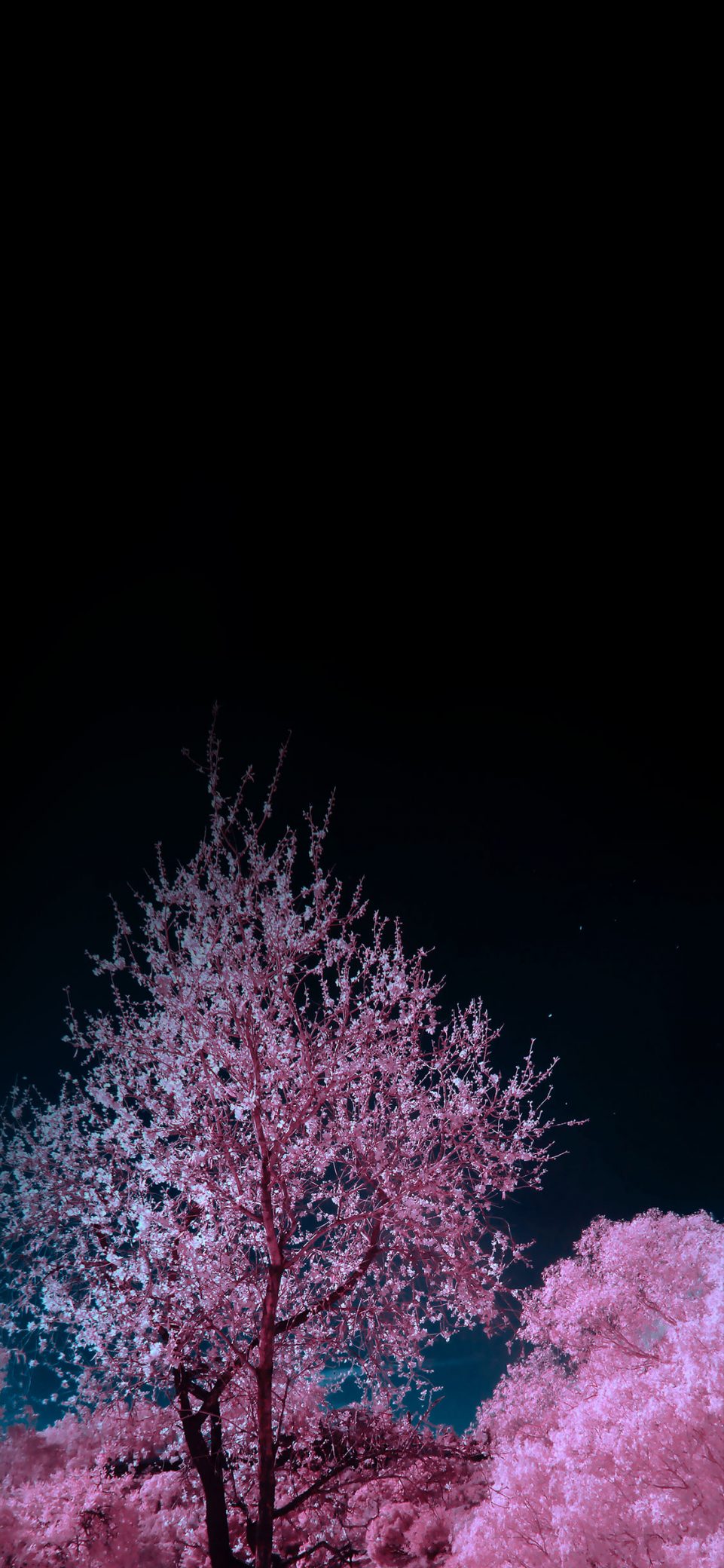 black wallpapers for iPhone