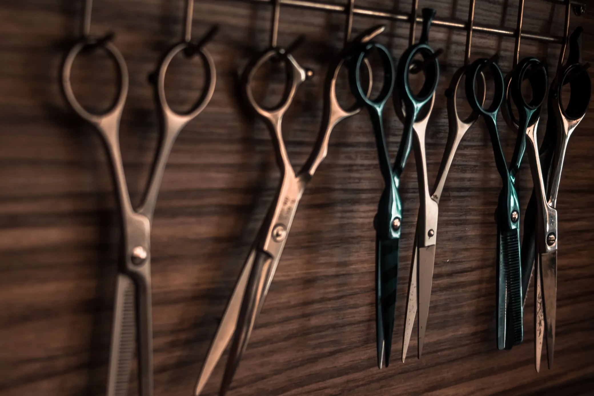 Hair Shears