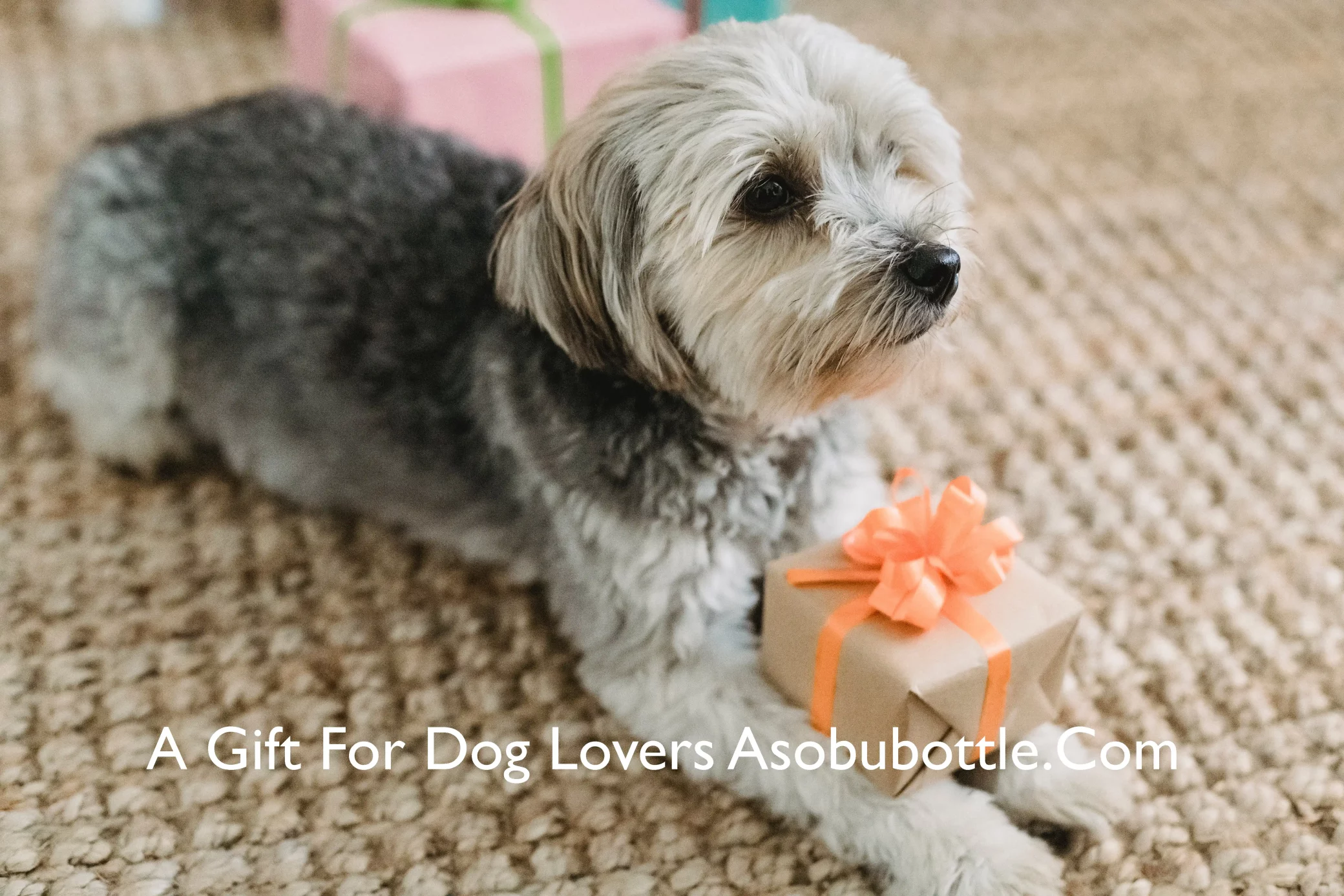 Gift For Dog Lovers Asobubottle.Com