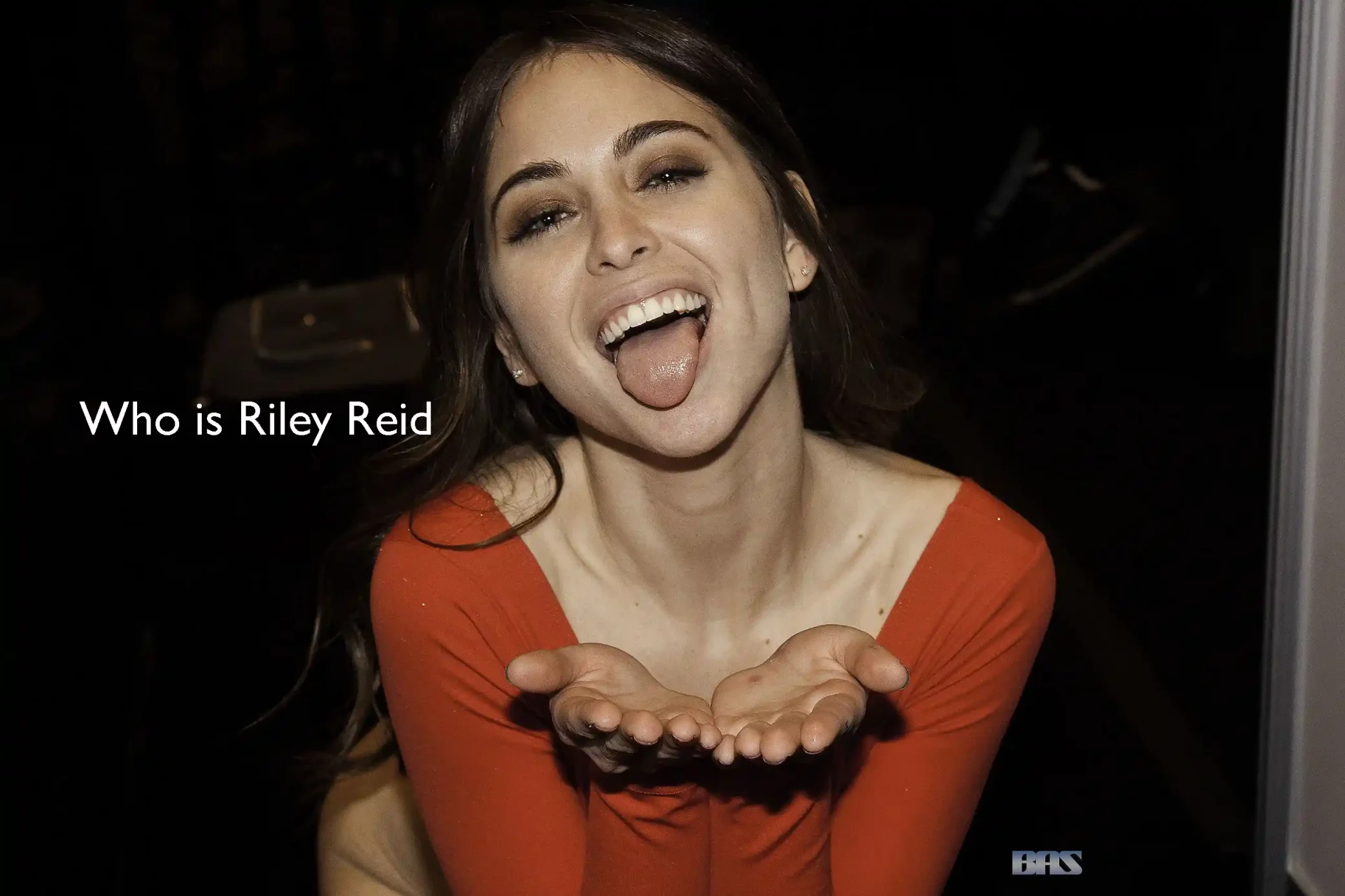 Riley Reid and Rudy Gobert relationship