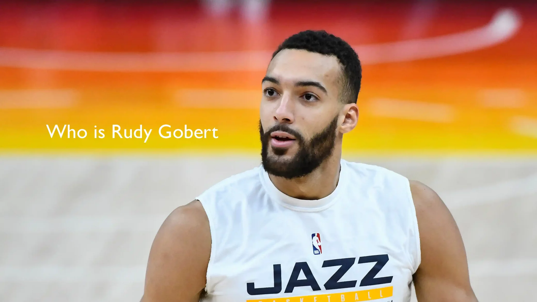 Riley Reid and Rudy Gobert relationship