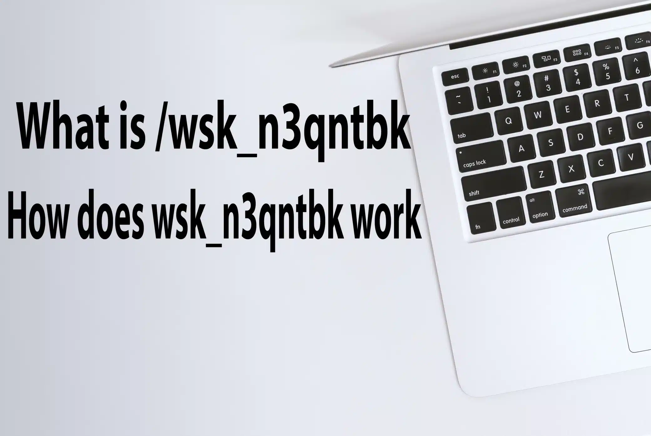 /wsk_n3qntbk