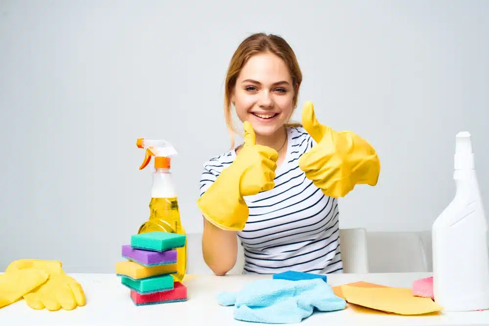 luxury cleaning service